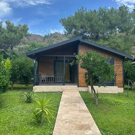 Cirali Villa's Villa *