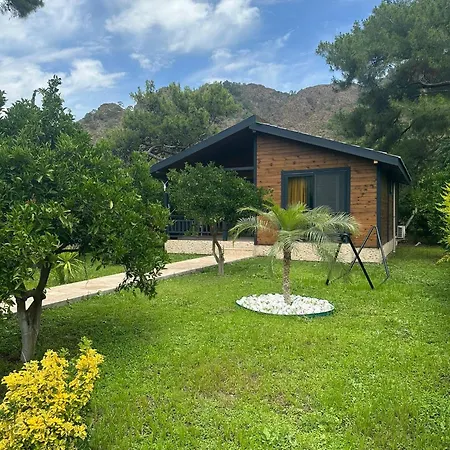 Villa Cirali Villa's *