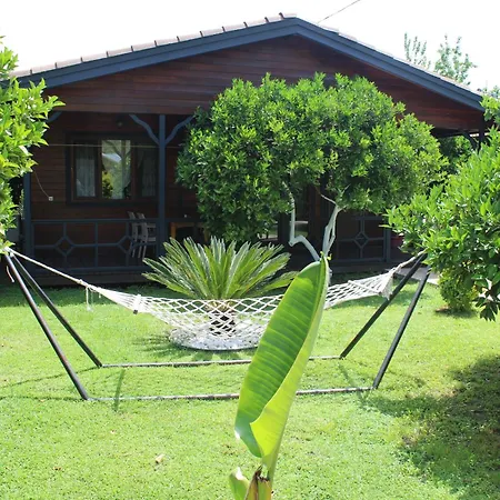 Cirali Villa's Villa