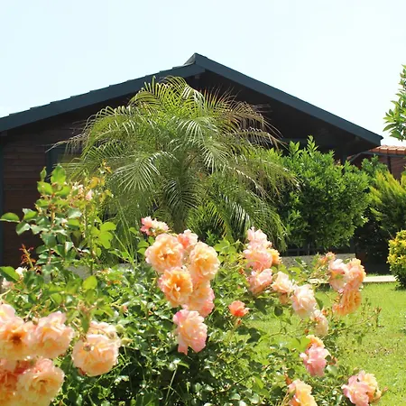 Cirali Villa's Villa *